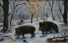 Wildschweine im Winter